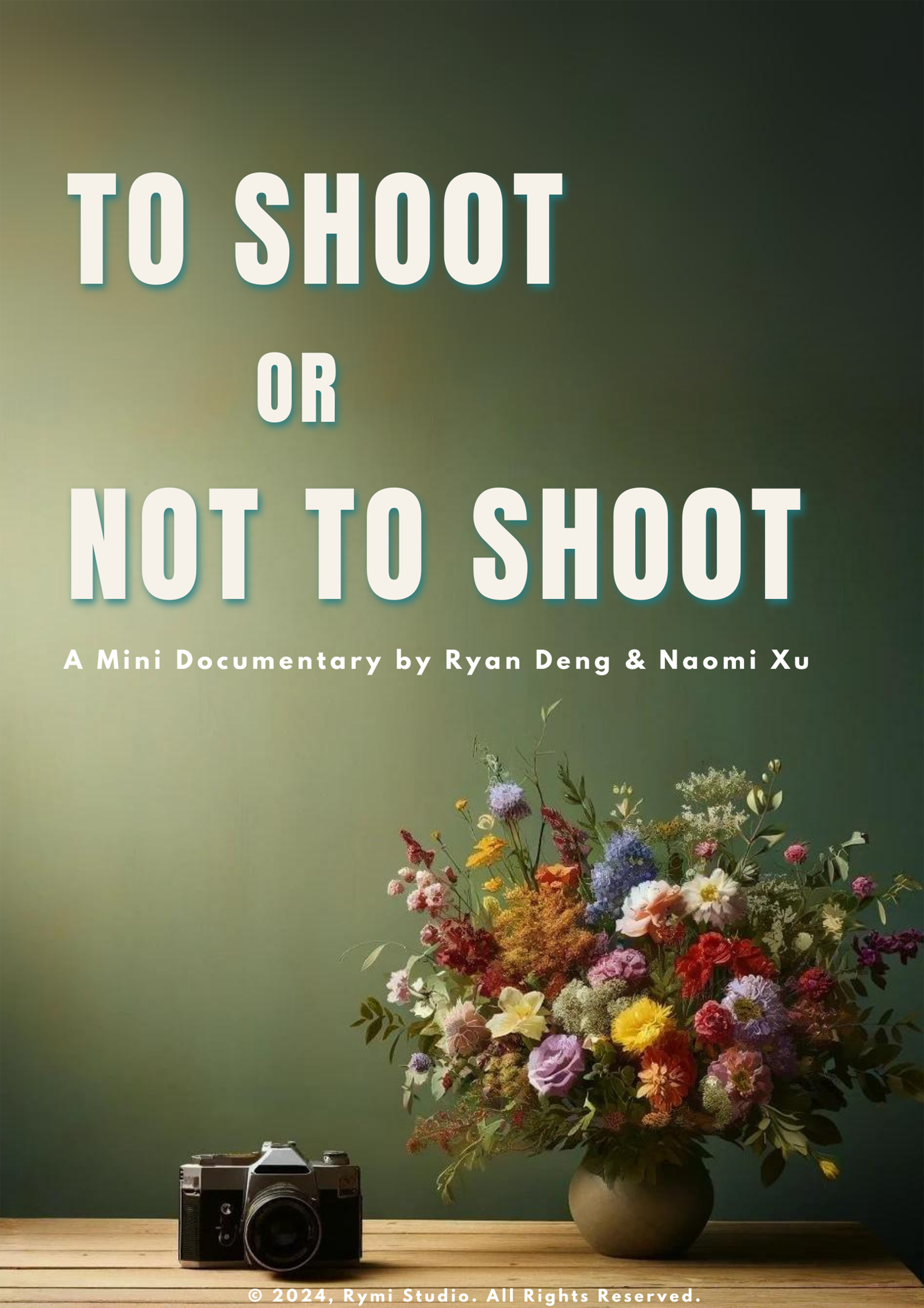 Documentary poster